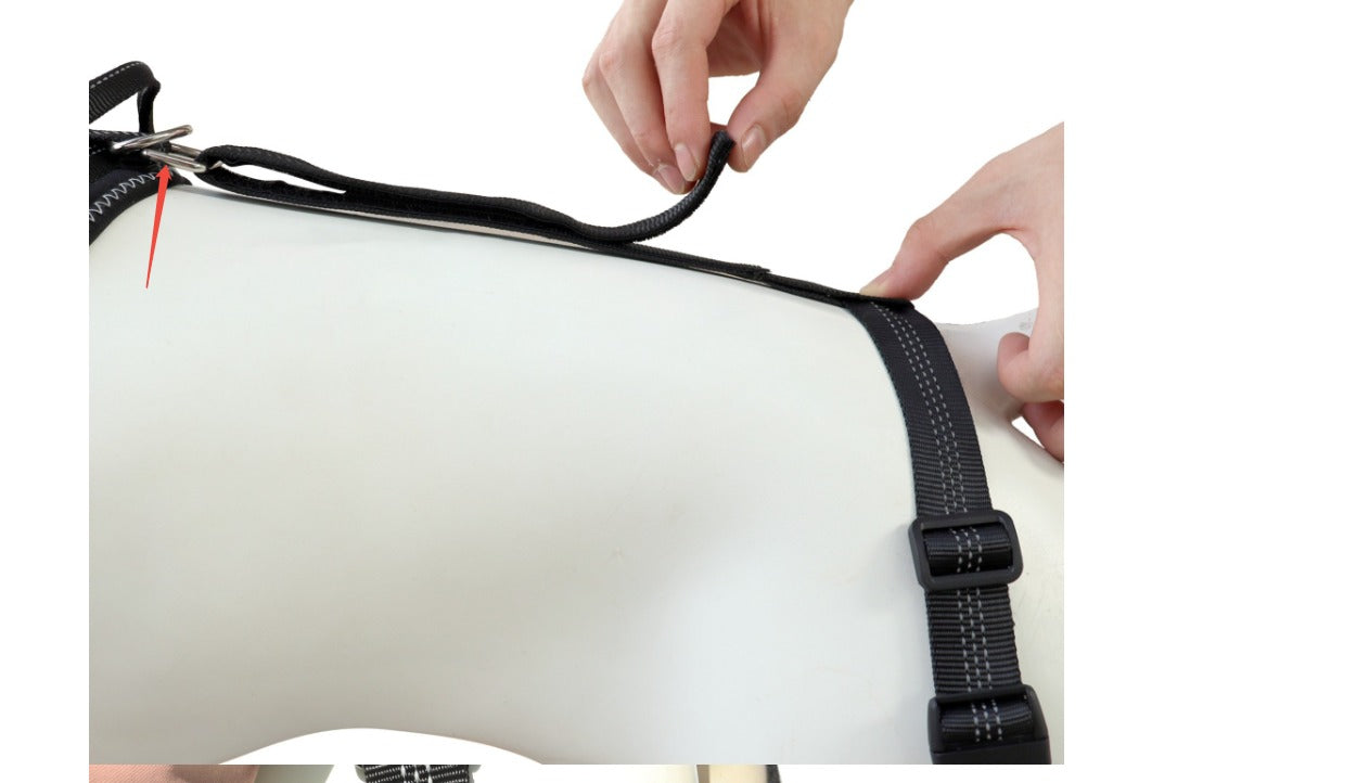 Knee Brace for Dogs