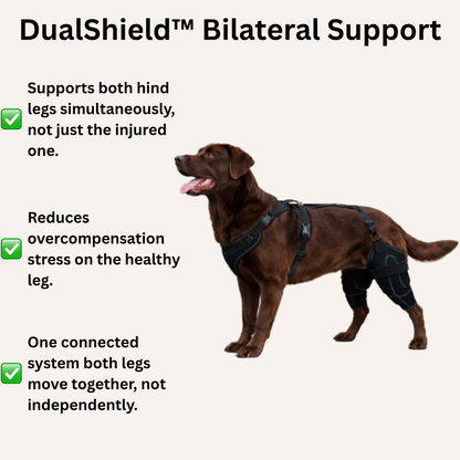 Knee Brace for Dogs